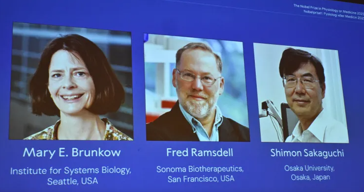 3 Ilmuwan AS dan Jepang Raih Nobel Kedokteran 2025, Teliti Sistem Kekebalan Tubuh